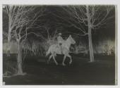 [Homer on Horse]