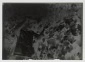 [John Spargo at grape vines]