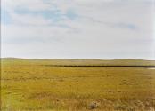 Untitled (Gillette, Wyoming)