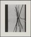Untitled 093