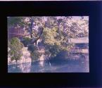 [Untitled]