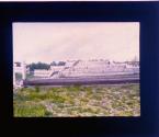 [Untitled]