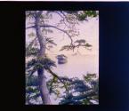 [Untitled]