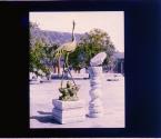 [Untitled]
