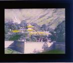 [Untitled]