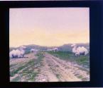 [Untitled]