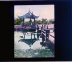 [Untitled]
