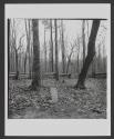 Slave Grave Yard, Virginia