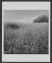 Fort Brown Earthworks, Brownsville, Texas