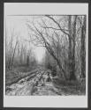 Port Hudson, Telegraph Road, Louisiana