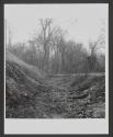 Earthworks, Fort Pillow, Tennessee