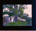 [Untitled]