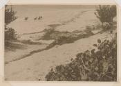 [Horsemen on beach]