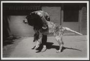 [Untitled]