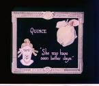 (Organ Novelty) Quince, She May Have Seen Better Days
