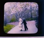[Untitled]