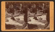 Yosemite Studies
