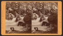 Yosemite Studies