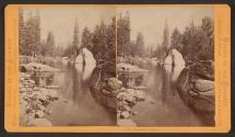 Yosemite Studies