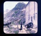 The Hospice Of St. Bernard, And St. Bernard Dogs