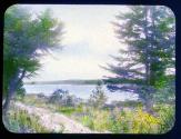 A Scene At Pocono Lake Preserve, PA
