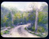 Road Around Pocono Lake, PA