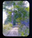 [Untitled]