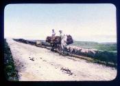 Donkey & Panniers, Connemara