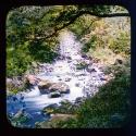 In The Devil's Glen, Rathnew