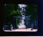 Nikko