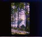 [Untitled]