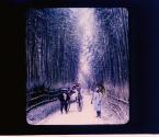 Bamboo Alley of Kyoto at Gojo Slope I