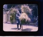[Untitled]