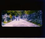 [Untitled]