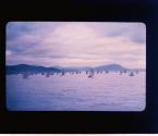 [Untitled]