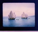 [Chinese Junks]