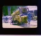[Untitled]