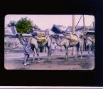 [Untitled]