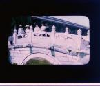 [Untitled]