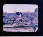 [Chapin on Donkey]