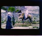 [Chapins with their guide, W.W. Chapin seated on camel]
