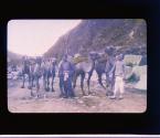 Mongolian Caravan: Nankou Pass, China