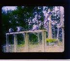 [Untitled]