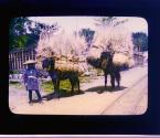 [Untitled]