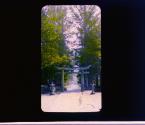 [Untitled]