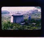[Untitled]