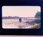 [Untitled]