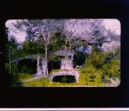 [Untitled]