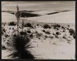 [Desert scene]