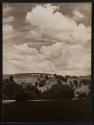 [Agricultural scene under a cloudy sky]